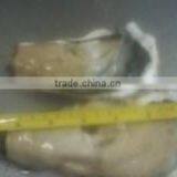 Live Pacific Oyster thumbnail-4