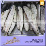 Best Selling Double Clean Bonito Fresh Tuna Loin With Prices thumbnail-5