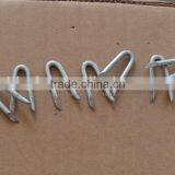 U Type Steel Nails China Supplier thumbnail-4