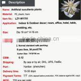 Hot Sale Artificial Potted Plants Chinese Succulent Plants thumbnail-2