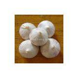 Jining Lord Trading Co., Ltd. company overview - view 1 thumbnail