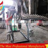 Full Size High Realistic Museum Quality Dinosaur Skeleton thumbnail-4