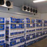 High Quality Ice Machine 1 Ton Stainless Steel Tube Ice Maker Price thumbnail-2