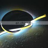 Outdoor Decorative Neon Light Wall Art 24V Neon Led Strip Light With IP67