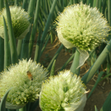 Zhangqiushilianguandacongliangzhongxiaoshoubu company overview - view 2 thumbnail