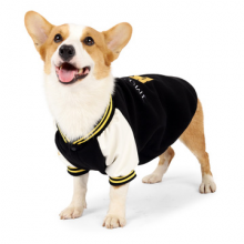 Winter And Autumn Animal Clothing for Small and Medium-sized Dogs Baseball Corgi Pet Clothes Sports Warm Cloth thumbnail-4