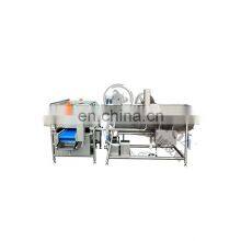 Leafy Or Root Vegetable Washing Machine Commercial Production Line Vortex Vibration Washing Machine