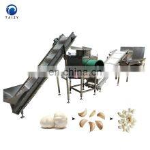 High Efficiency Peeled Garlic Processing Line Garlic Bulb Breaking Separating Peeling Machinery