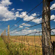 Crafts Fences Animal Deterrents Bird Feeders Gardens Real Barbed Wire Farm Fence Roll thumbnail-2