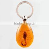 Real Insect Keychain With Scorpion thumbnail-3