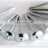 Roofing Nail