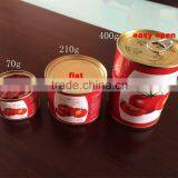 Solid Form and Sauce Product Type Canned Tomato Paste 400g thumbnail-1