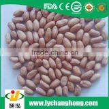 Shandong Origin Different Size Peanuts Kernel for Sale With Lowest Price thumbnail-1