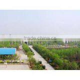 Luoyang Lutong Heavy Industry Machinery Co., Ltd. company overview - view 3 thumbnail