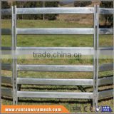 Australia hot dipped galvanized heavy duty cattle panels In Farm (Factory Trade Assurance)