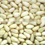 Red Pine Nut Kernels