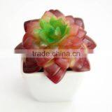 Artificial Plants Succulent Plant Type and PE Foam Material Mini Artificial Plants thumbnail-2