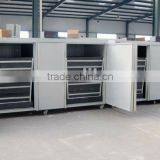 2013 Fully Automatic Bean Sprout Machine