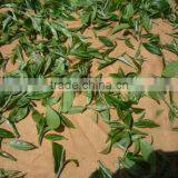 Triangle Black Tea Bags/Black Pyramid Tea Bag From Vietnam thumbnail-4