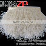 ZPDECOR No.1 Feather Supplier Feather Size 15-20 cm Beige Ostrich Feather Fringe thumbnail-4