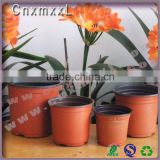 Professional Factory Cheap Wholesale Custom Design PP flower pot for kiwi berry
