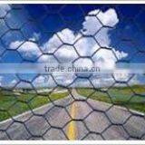 Poultry Farm Mesh/ Hexagonal Wire Netting