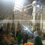 Vietnam Calrose Rice 5% Broken thumbnail-3