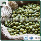 Machine Dressed Green Mung Bean thumbnail-4
