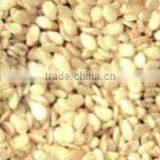 NATURAL SESAME SEED thumbnail-3