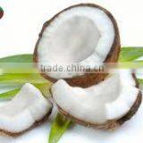 PURE VIRGIN COCONUT OIL IN BULK thumbnail-2