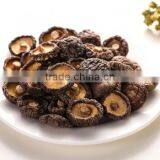 Green Healthy Dried Smooth Mushroom for Sale thumbnail-5