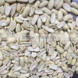Spilt Blanched Peanut thumbnail-2