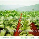 Vegetable Flower Growth Fertilizer
