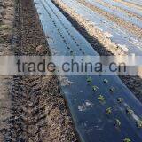 Hot Sale Push Seeder for Vegetable thumbnail-4