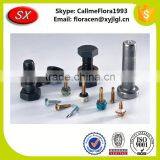 Custom Hight Precision High Quality Rigging Screw Galvanize ISO/RoHS Passed OEM&ODM thumbnail-1