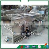 QXJ Industrial Bubble Washer Chives Washing Machine thumbnail-3