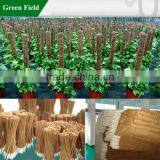 Decorative Coconut Plant Stakes thumbnail-1