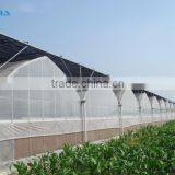 Galvanized Tube Structure Multi-Span Greenhouse Used for Growing Plantings thumbnail-2