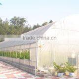 PE Film Coverd Plastic Tunnel Greenhouse Used for Vegetables and Fruits thumbnail-4