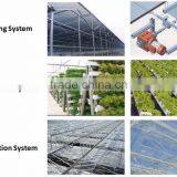 China Hot Sale Irrigation System for Greenhouse Agriculture Farming and Vegetable Grow thumbnail-2
