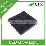 2016 UL Listed Spider Cob Led Grow Lights 810 Watt Cob Led Grow Light With 90watt New Modular Led Grow Light