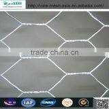 Hexagonal Hole Shape and Galvanized Iron Wire Material Hexagonal Wire Mesh thumbnail-1