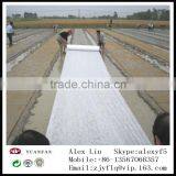 TNT Fabric the Landscape of Fabric / Gardening Non Wovn Fabric / Agriculture Nonwoven Fabric thumbnail-5