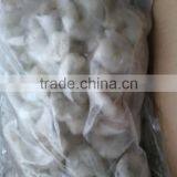 White Vannamei Shrimp From China thumbnail-1