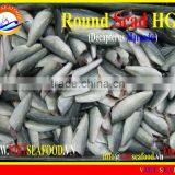 HGT FROZEN ROUND SCAD thumbnail-1