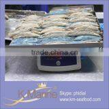 2.4kg Frozen Pacific Horse Mackerel For Fish Loin Lot Number#kml4098 thumbnail-1