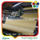 TPBI Shakya Fruit Cover Protection Paper Bag Sugarapple Growing Paper Bag thumbnail-4