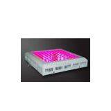 Indoor Growing With Led Lights 150W 5500lm for Hydroponics & Horticulture -20 ~ 40C thumbnail-1