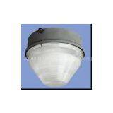 Ceiling Light With Induction Lamp(NLW-ZX-50008) thumbnail-1