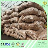 Easy Cracked Walnut Inshell 28mm Up thumbnail-4